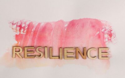 Entrepreneurial Resilience Building Strategies for Sustainable Success from 20 Business Leaders